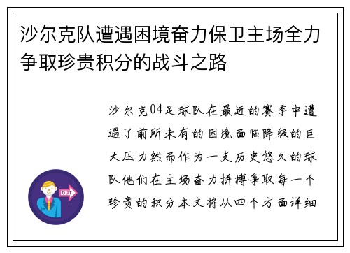 沙尔克队遭遇困境奋力保卫主场全力争取珍贵积分的战斗之路