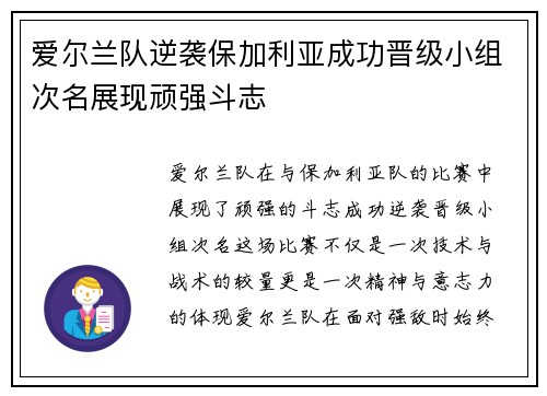 爱尔兰队逆袭保加利亚成功晋级小组次名展现顽强斗志